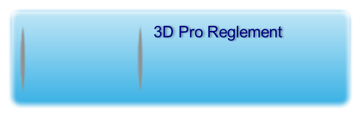 3D Pro Reglement
